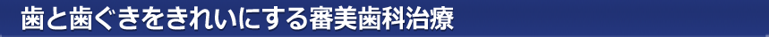 歯と歯ぐきをきれいにする審美歯科治療